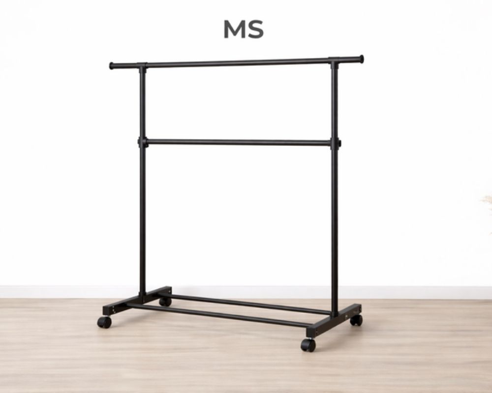 MS